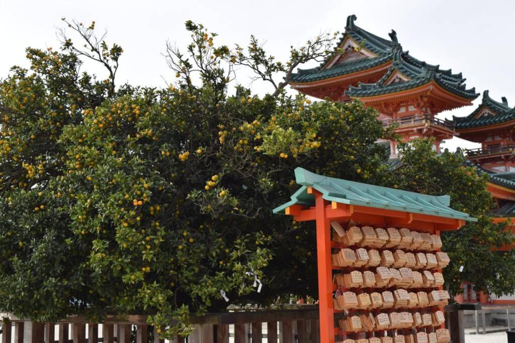 東山苔庵 Koke-an * 京都